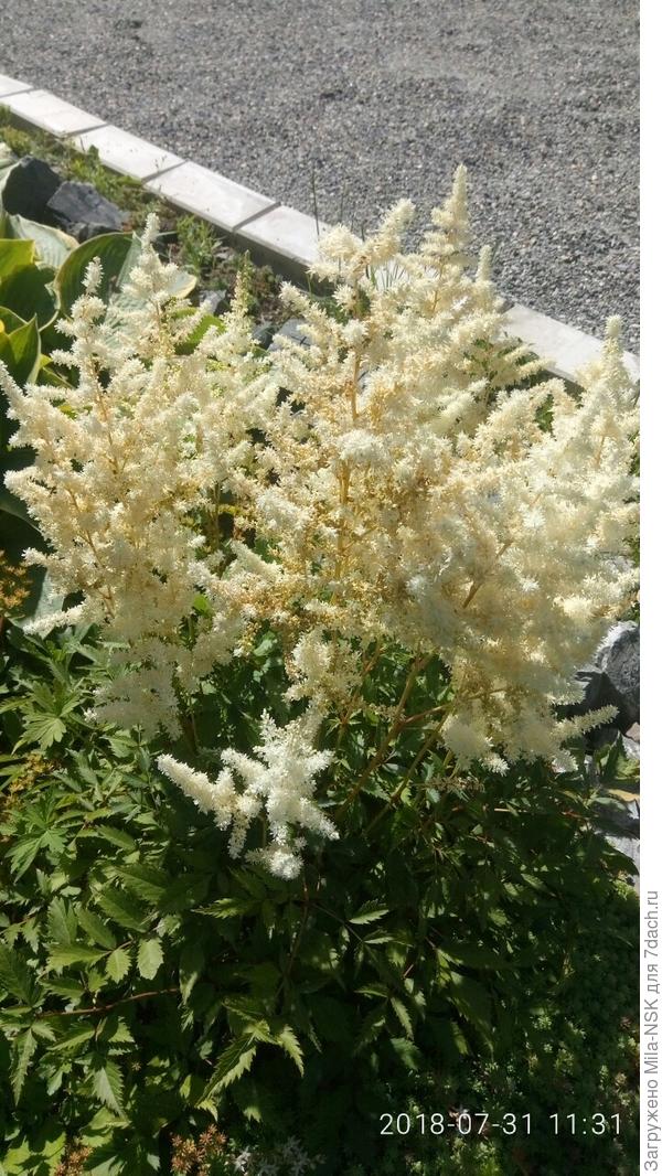 Она же на второй год