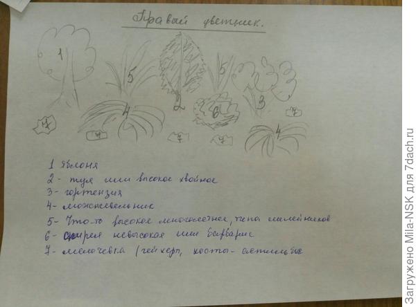 А это примерный план правого цветника, что у яблони