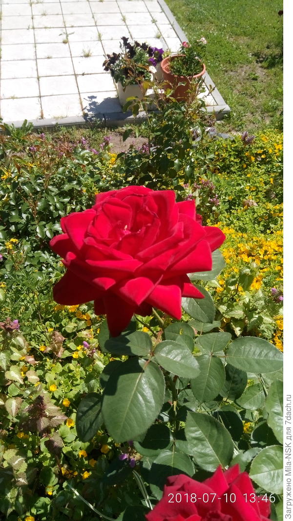 Бургунд. 10 июля-2018