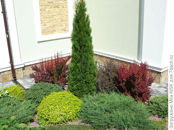 Смарагд и компания