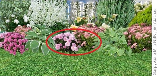 Вот на это место