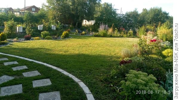Соседская береза мешает что делать