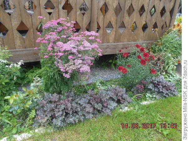 Они же в августе 2017.