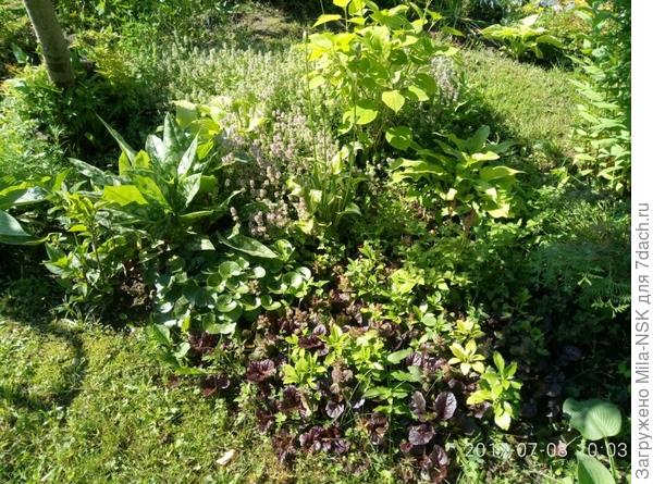 То же место поближе