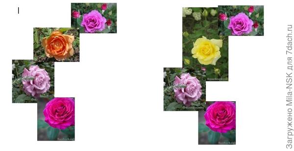 Вот посмотрите в сравнении