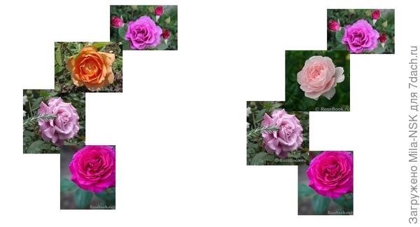 с Квин оф Шведен