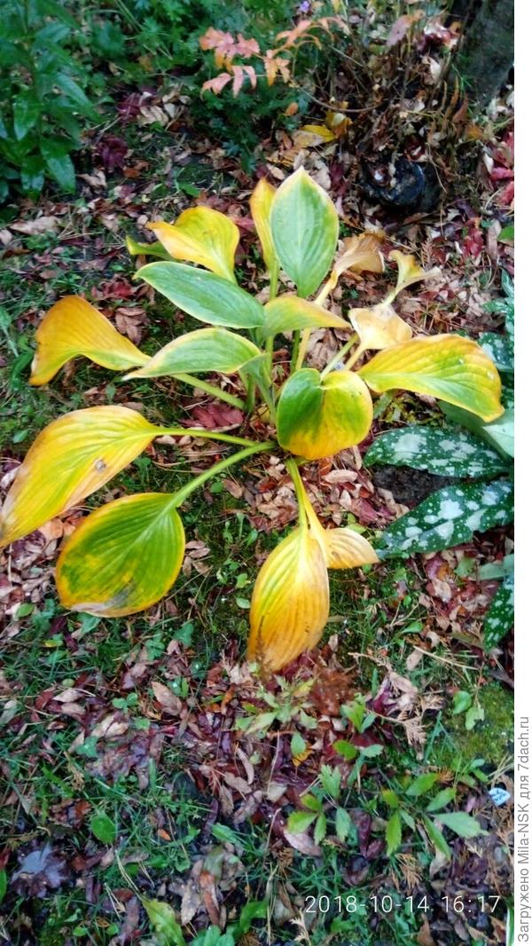 Октябрь. Краски осени