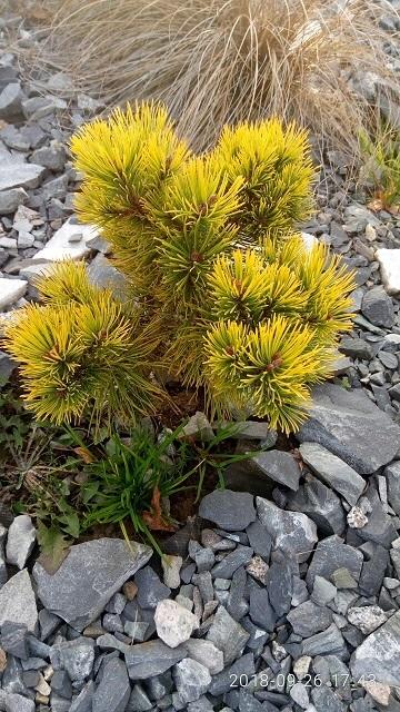 Она же в сентябре.