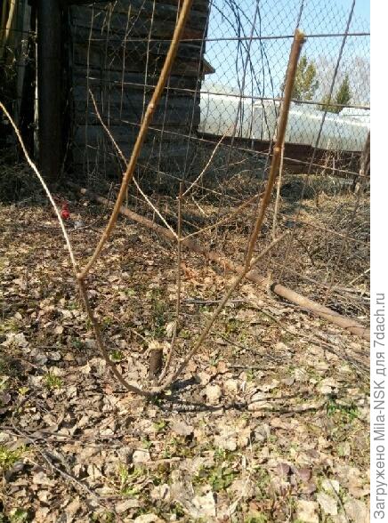 Она же с другого ракурса