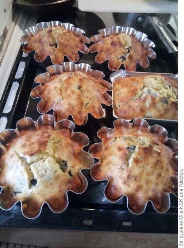 Лопнувшие макушки