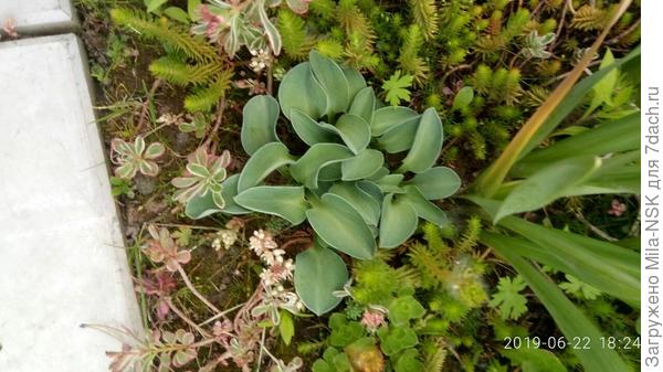 Еще одна МУ