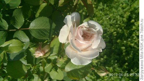 Первая в этом сезоне!!! Parki