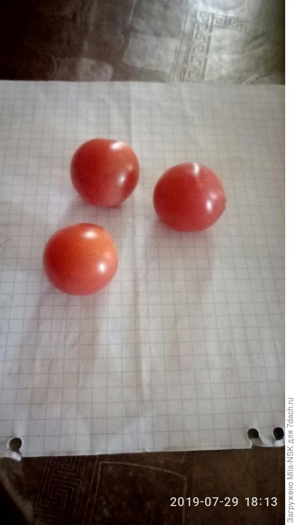 Первый урожай 2019 г.