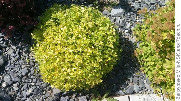 Она же ПОСЛЕ