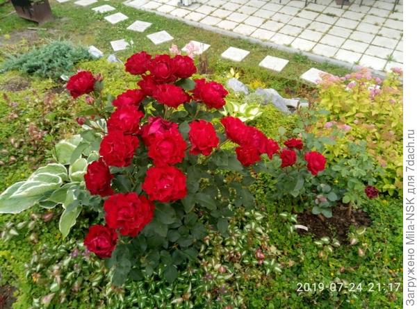 Хайнц Винклер