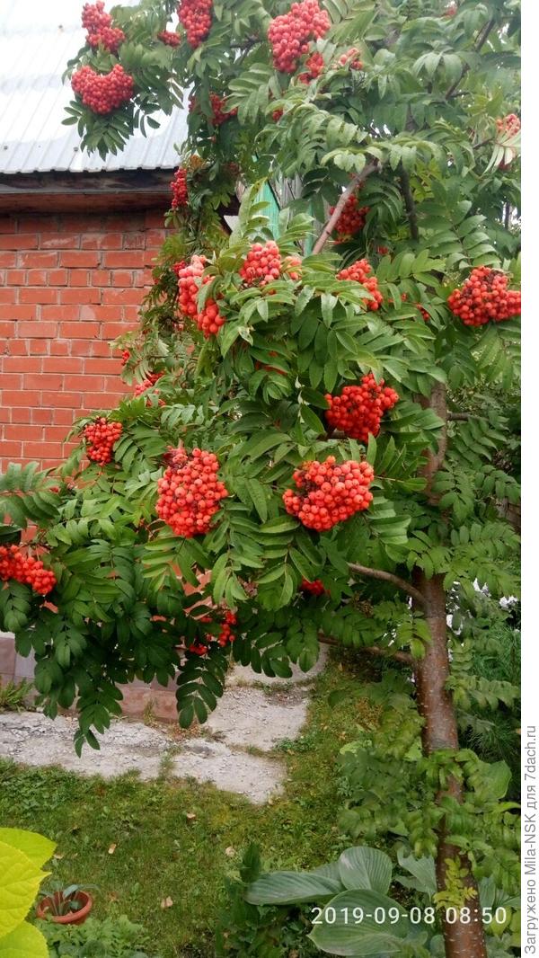 Жжж