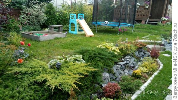 Вот на этом прошлогоднем фото она слева между желто-зеленым и зеленым можжевельниками