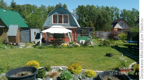 Вид на северо-восточную часть участка