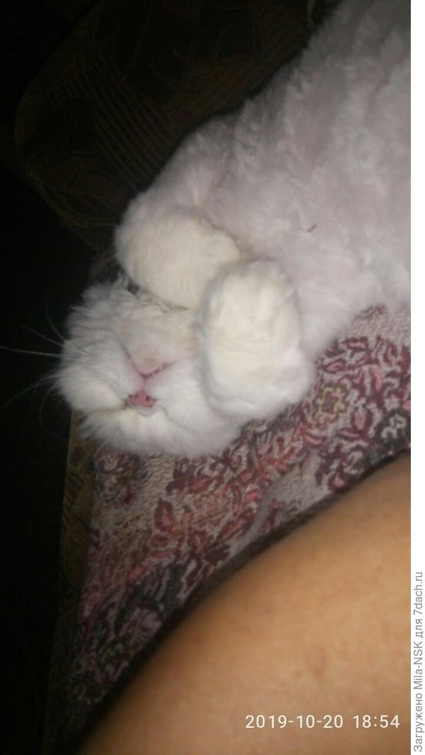 и так тоже...