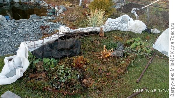 вот такую картинку увидела сегодня