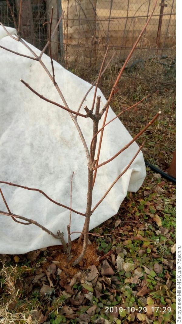 Второй побег