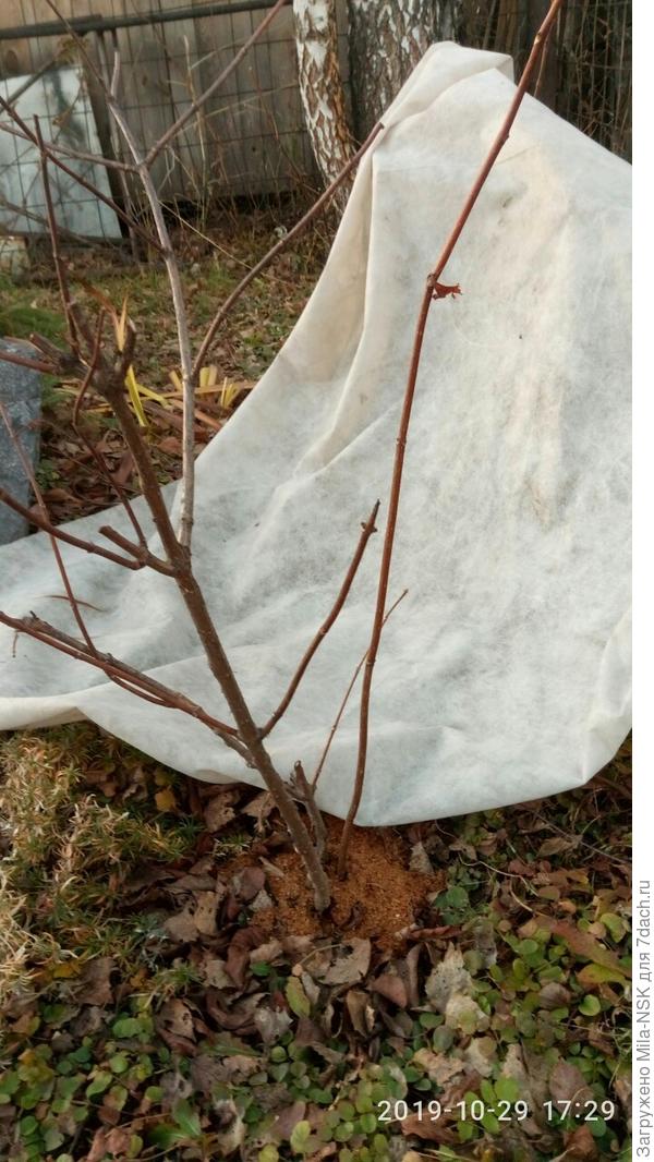 Прямой побег