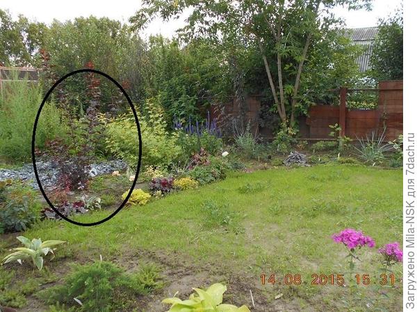 Он же ровно через год