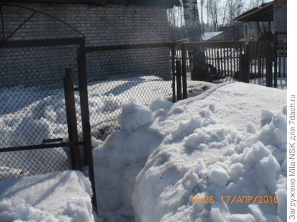 Это фото моей старой дачи, апрель 2010 г. Высота забора 1,6. Откапывала дорожку к калитке. Видно выысоту снежного покрова. И это в апреле!