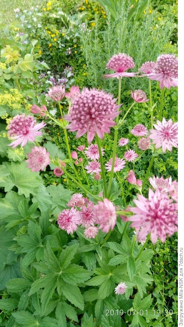 Это Руби роуз