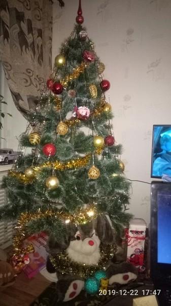 Мышь под елочку пришла...