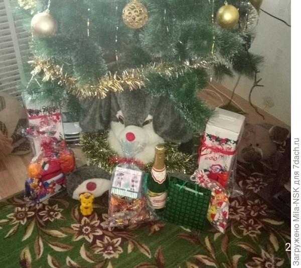 ... всем подарки принесла!