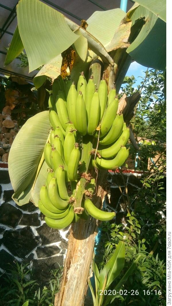 ну а эта семейка всем знакома