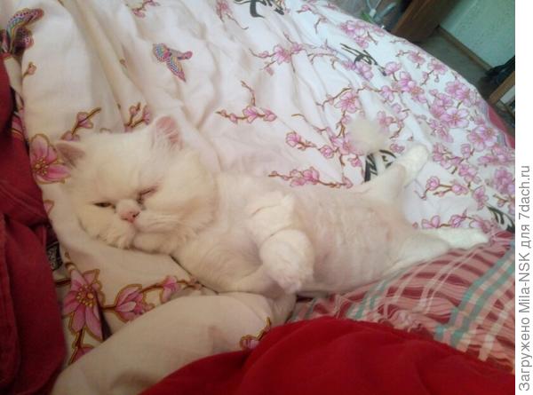 "ну вот... давно бы так..."