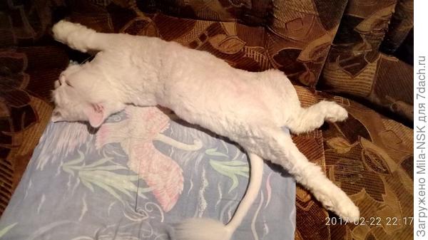 "Все! Я отдыхать!"