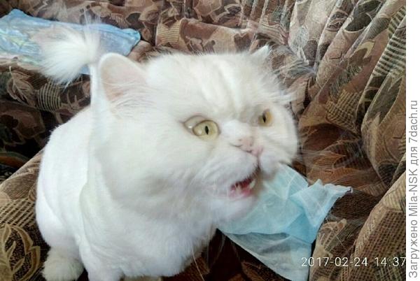 "Ну сколько раз тебе объяснять??? Устал я! Устал!"