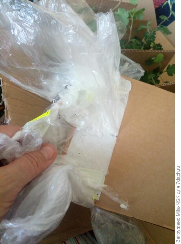 Донышки и боковинки приклеены двусторонним скотчем в дну коробки и вкладышу. Это не позволяет растюшкам болтаться в коробке и падать.