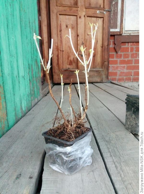 вид с другой стороны