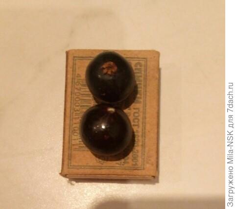 Для сравнения со спичечным коробком