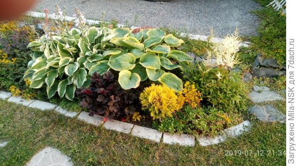 А жто мой любимый цветник с хостами, гейхерами и др. растюхами.