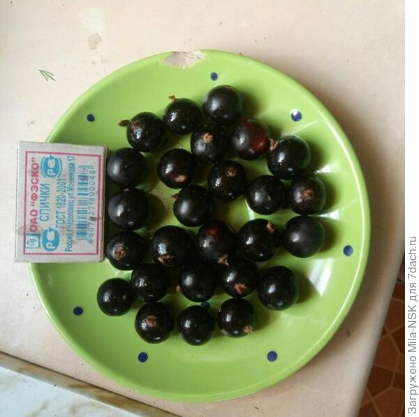 А это для сравнения со спичечным коробком