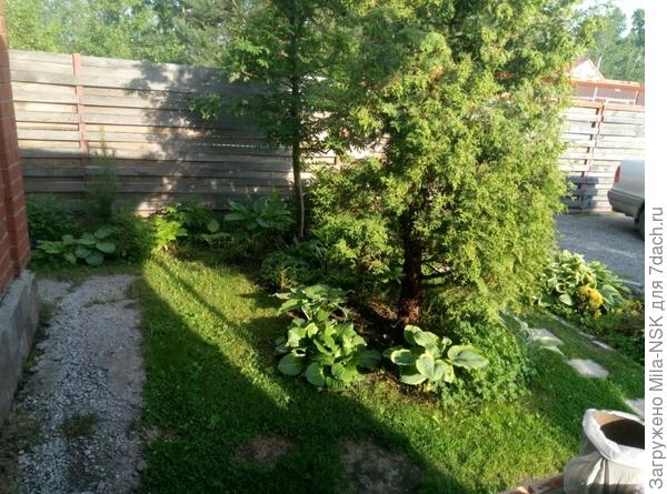 Мой лесной уголок