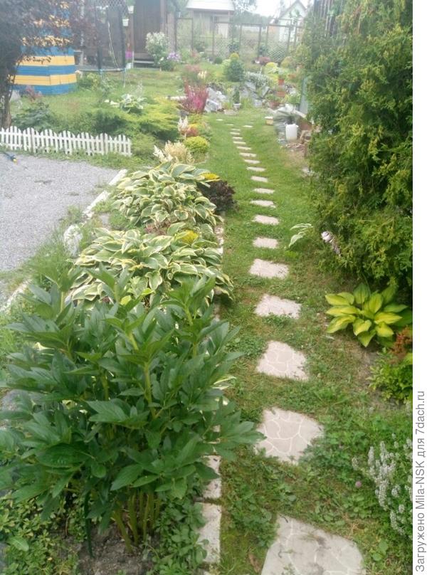 Слева цветник вдль дорожки от калитки.
