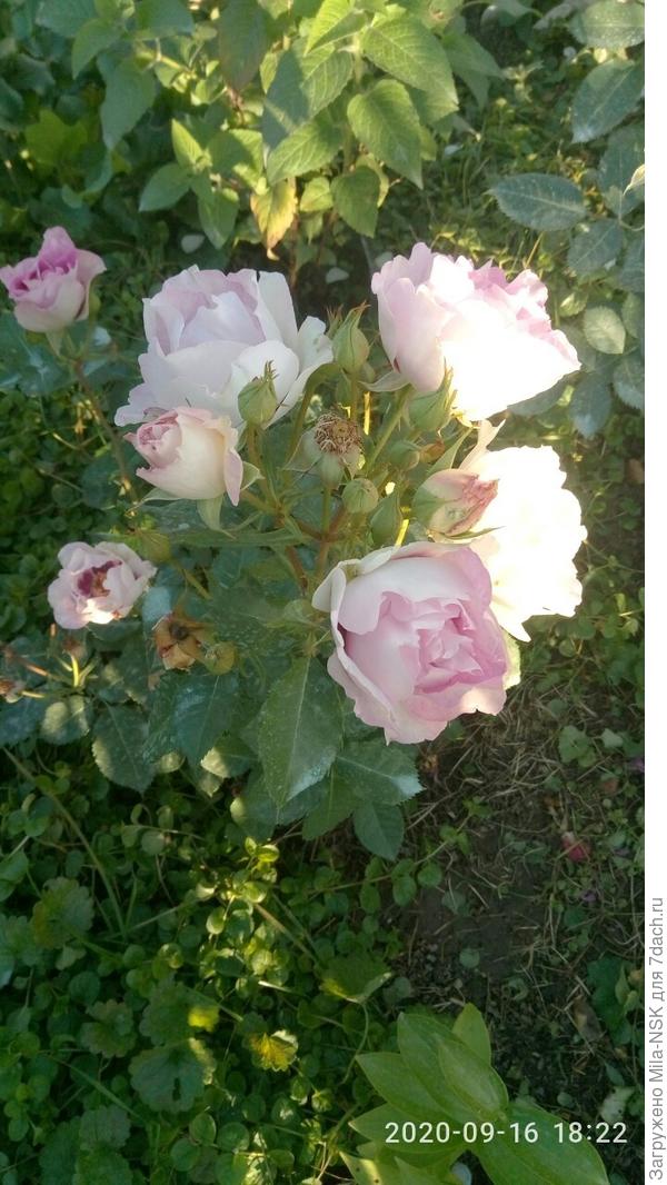 Но ей простительно... Она у меня еще малышка...