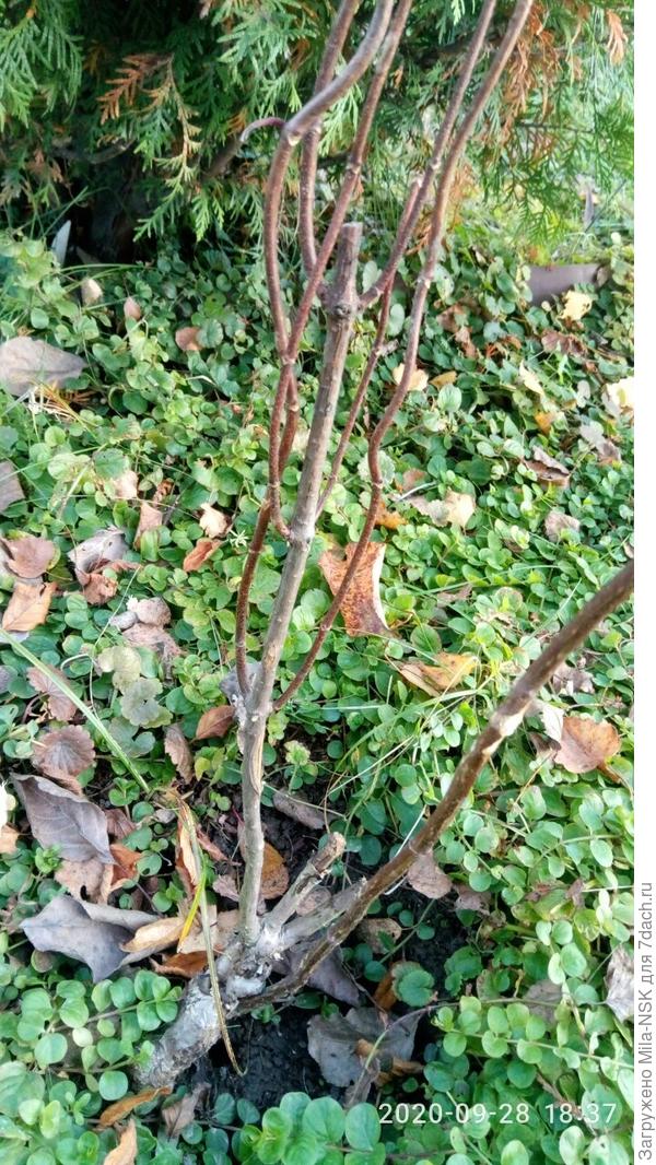 Можноли теперь как-то это безобразие исправить?