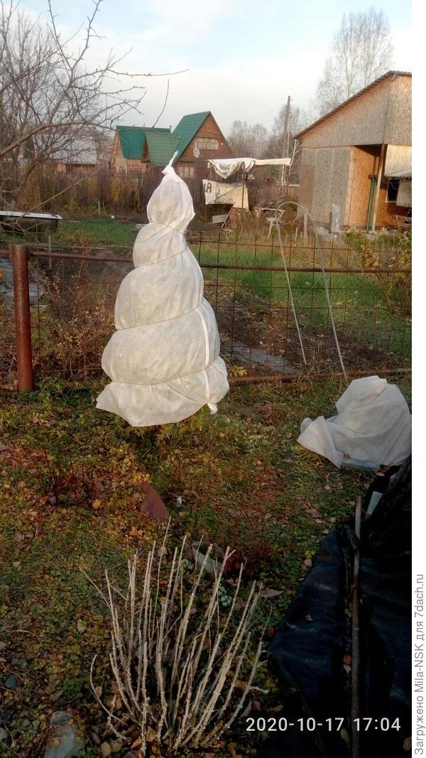 А это Г. Смарагд