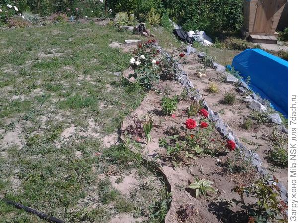 Здесь на фото 2015 г видно границу цветника в виде волны