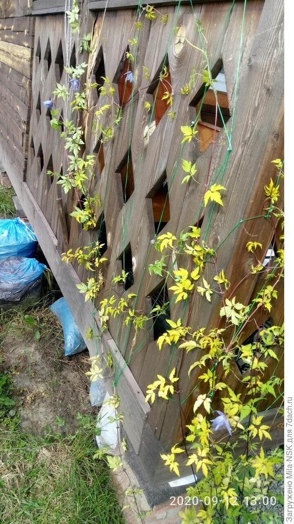 Боковая сторона террасы