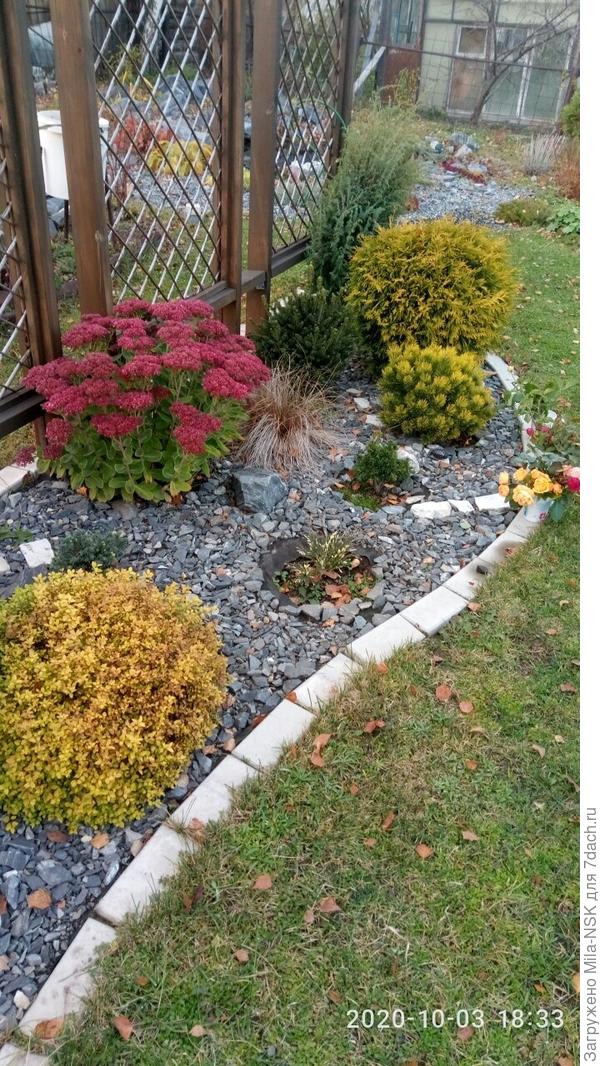 Это октябрь. Здесь видно, что одной спиреи уже нет. Я ее перенесла на цветник, который нынче реконструировала, а вместо нее посадила горизонтальный можжевельник