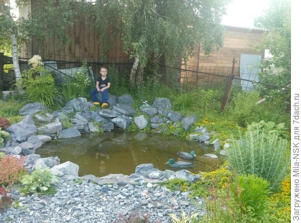 а еще у меня под березкой, вопреки всем правилам ЛД, пруд. И на камушках любит сидеть и кормить рыбок мой внук.