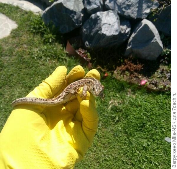 И вам здравствуйте!